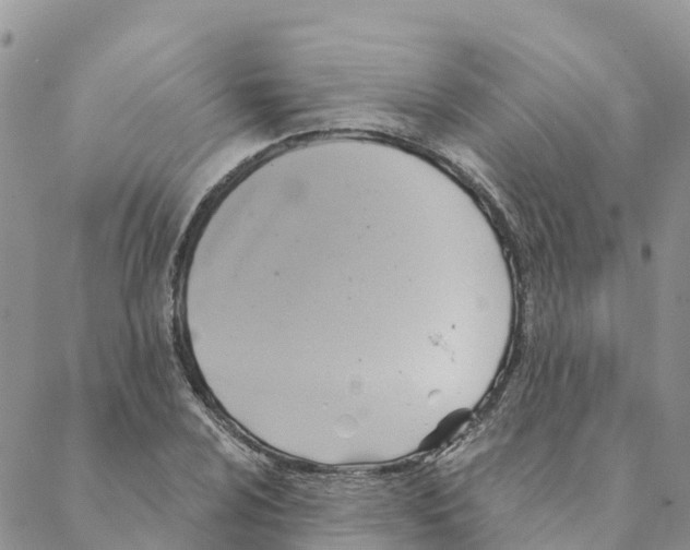 X0000088391024200706121205