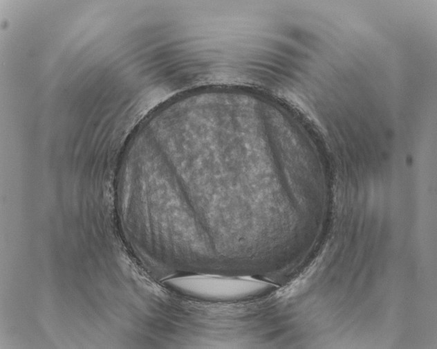 X0000088391025200706121205