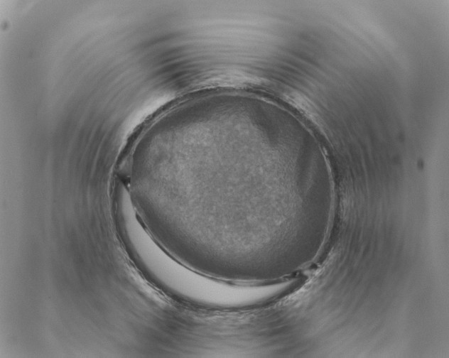 X0000088391026200706121205