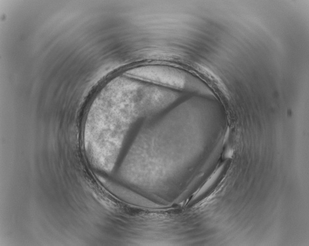 X0000088391027200706121205