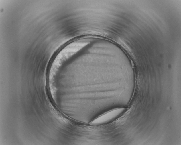 X0000088391028200706121205