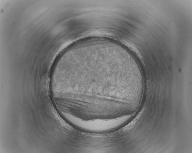 X0000088391029200706121205