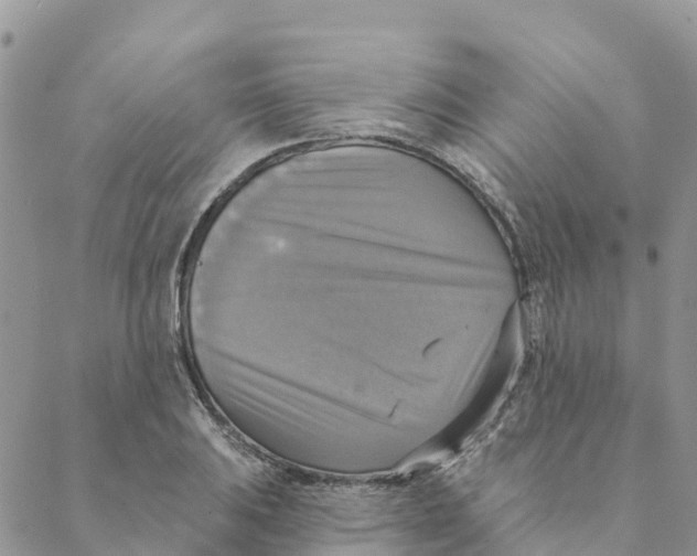 X0000088391031200706121205