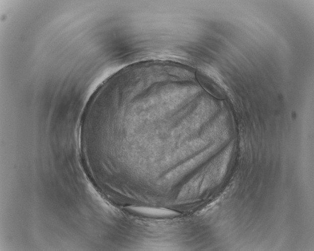 X0000088391032200706121205