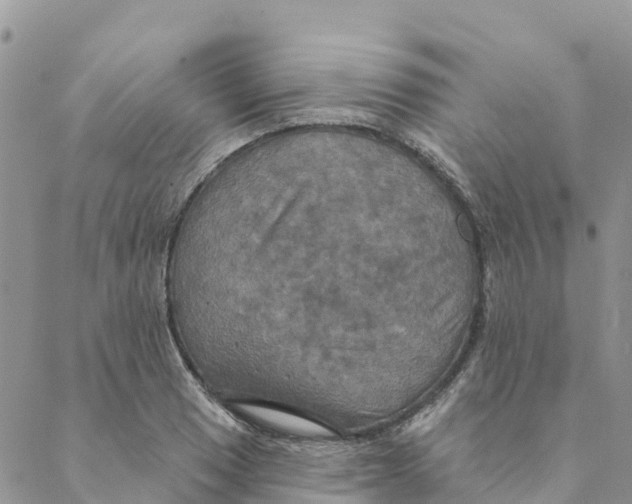 X0000088391033200706121205