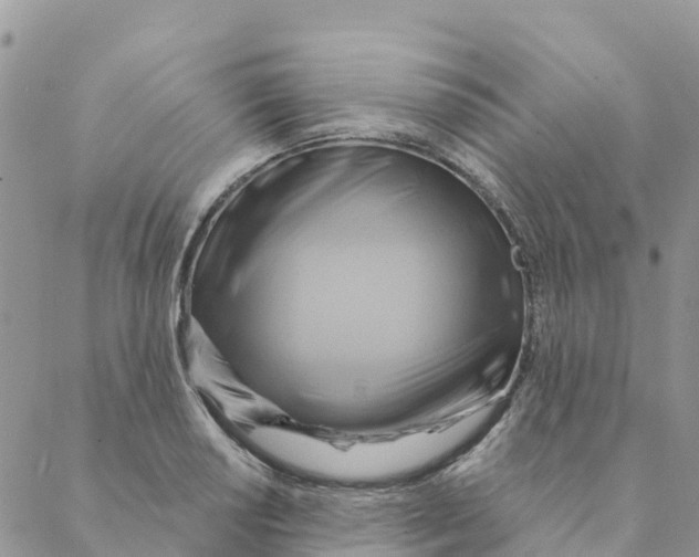 X0000088391034200706121205