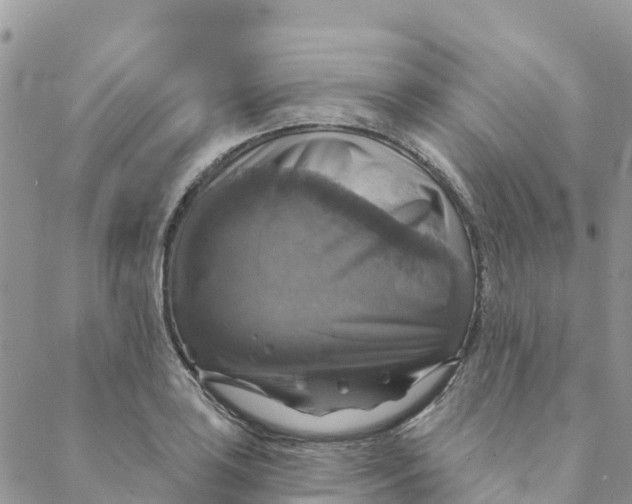 X0000088391035200706121205