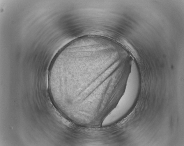 X0000088391036200706121205