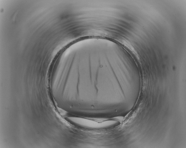 X0000088391037200706121205