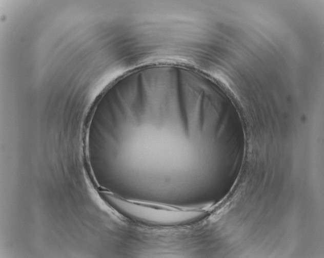 X0000088391038200706121205