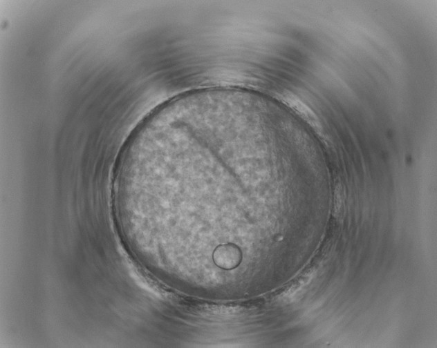 X0000088391039200706121205