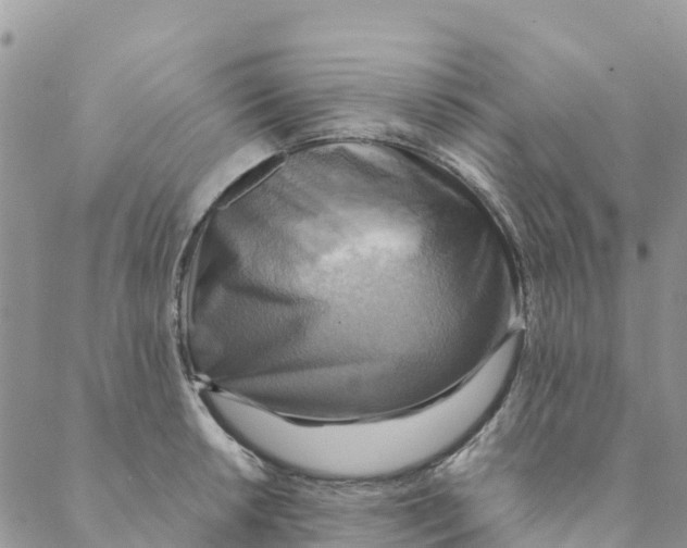 X0000088391042200706121205