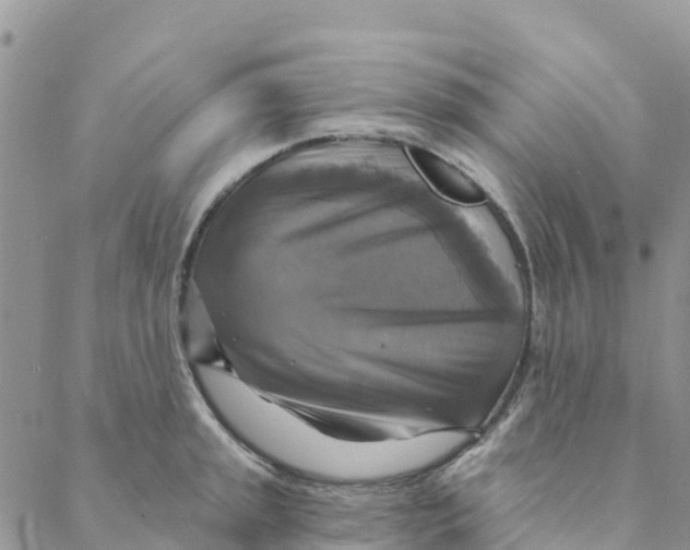 X0000088391045200706121205