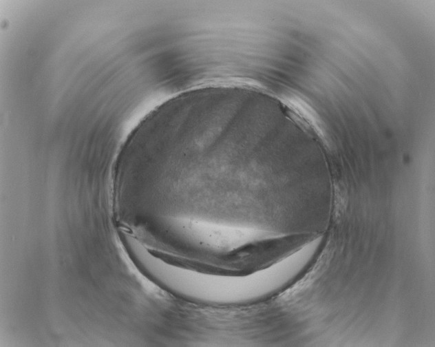 X0000088391046200706121205