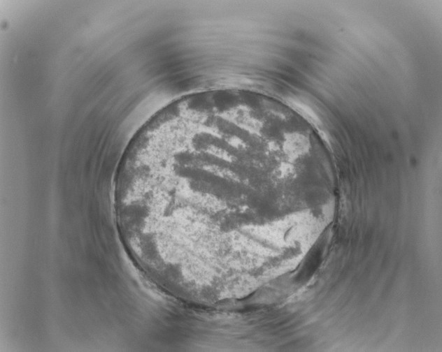 X0000088391047200706121205