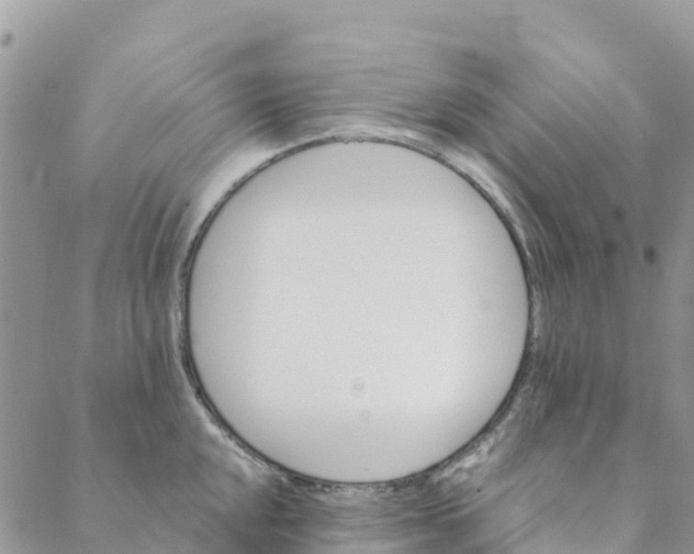 X0000088391048200706121205