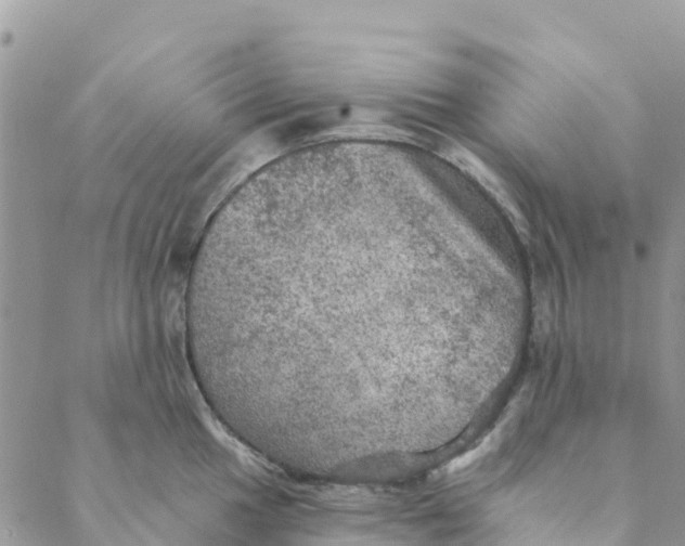 X0000088391049200706121205