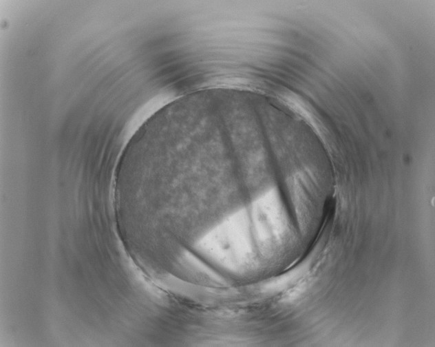 X0000088391050200706121205