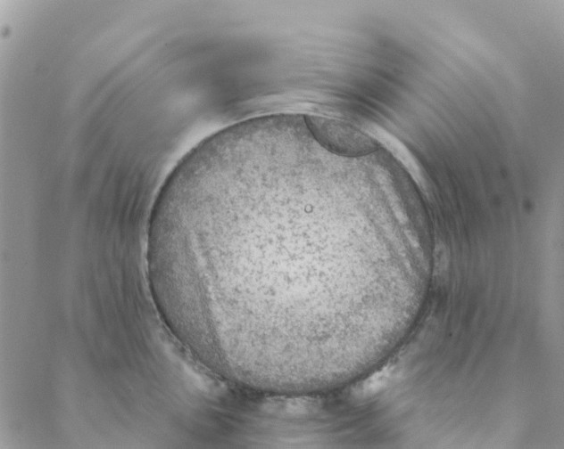 X0000088391051200706121205