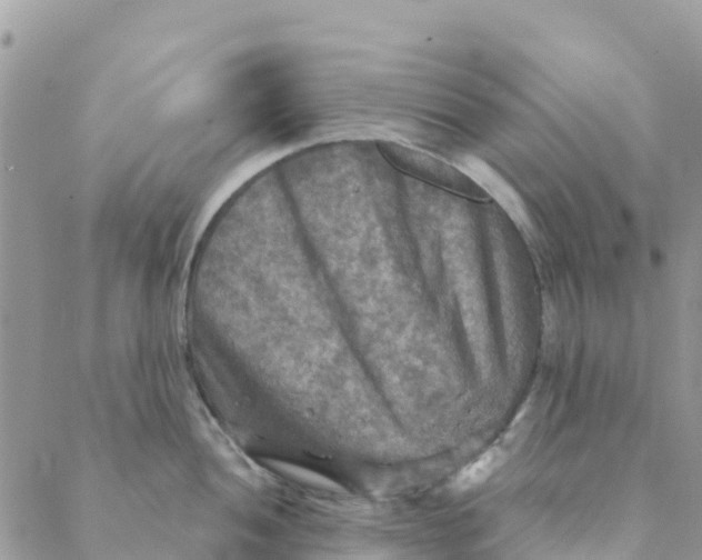 X0000088391052200706121205