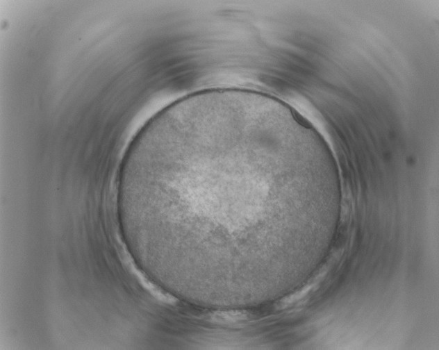 X0000088391053200706121205