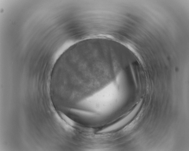 X0000088391054200706121205