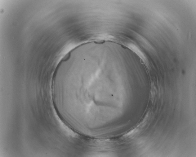 X0000088391055200706121205