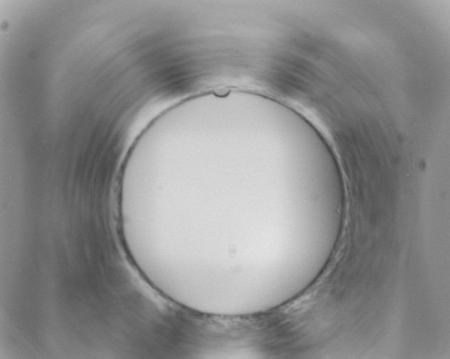 X0000088391056200706121205