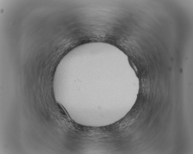 X0000088391057200706121204