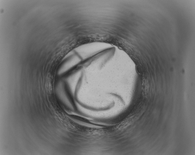 X0000088391058200706121204