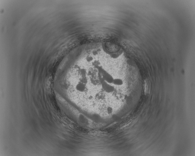 X0000088391059200706121204