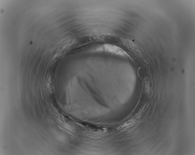 X0000088391060200706121204