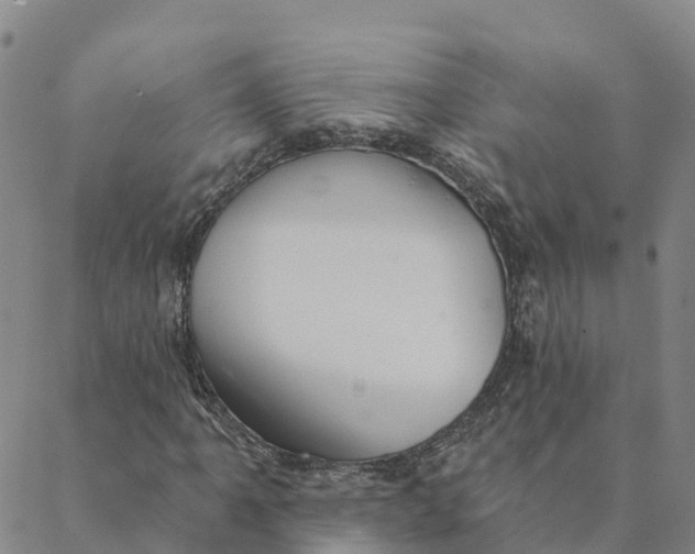 X0000088391061200706121204