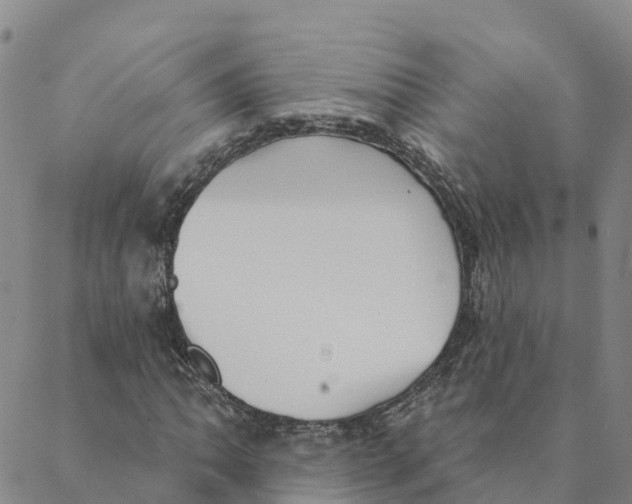 X0000088391062200706121204