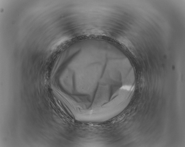 X0000088391063200706121204