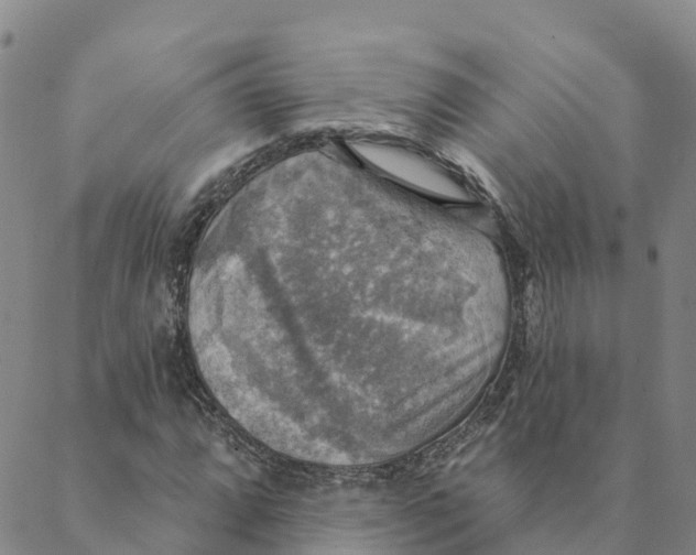 X0000088391064200706121204