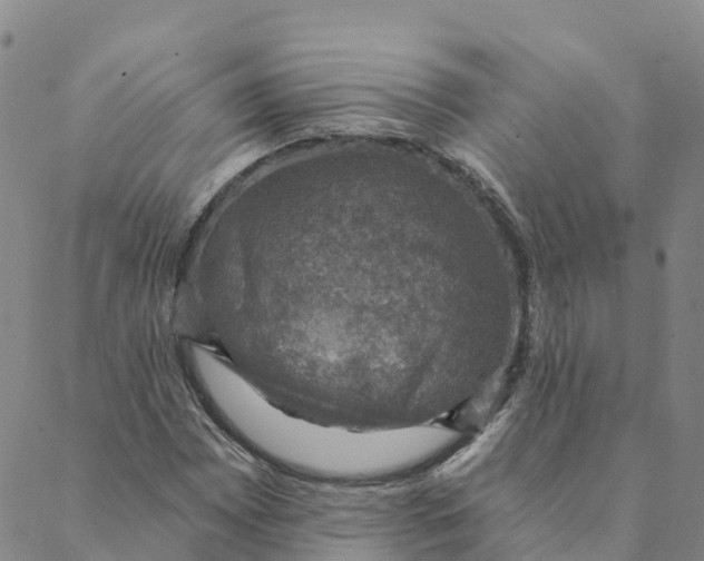 X0000088391065200706121204