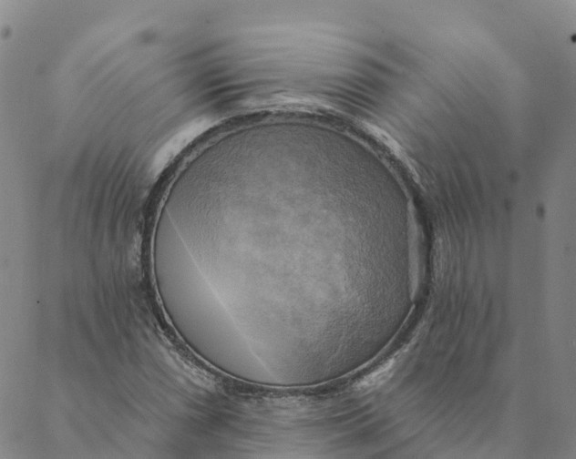 X0000088391066200706121204