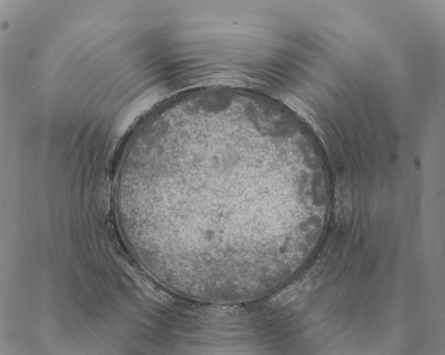 X0000088391067200706121204