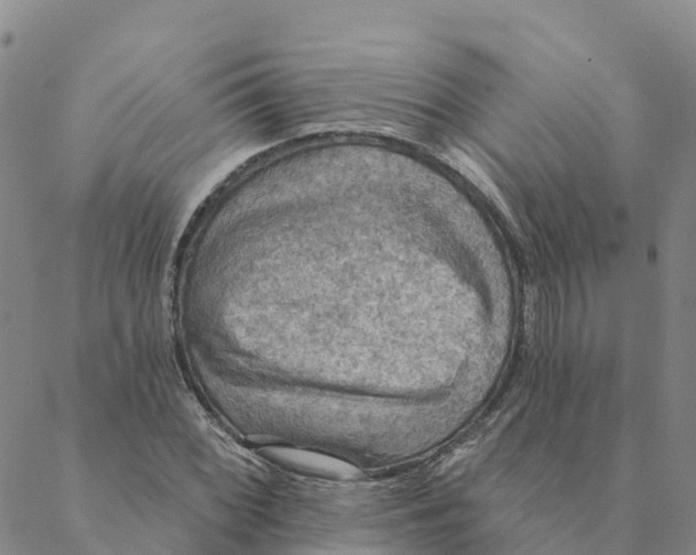 X0000088391068200706121204