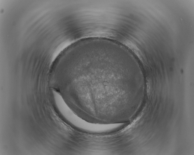 X0000088391069200706121204