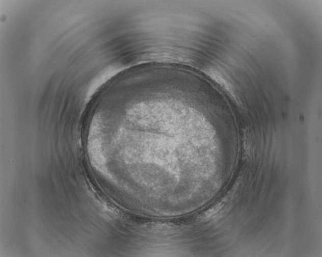 X0000088391070200706121204