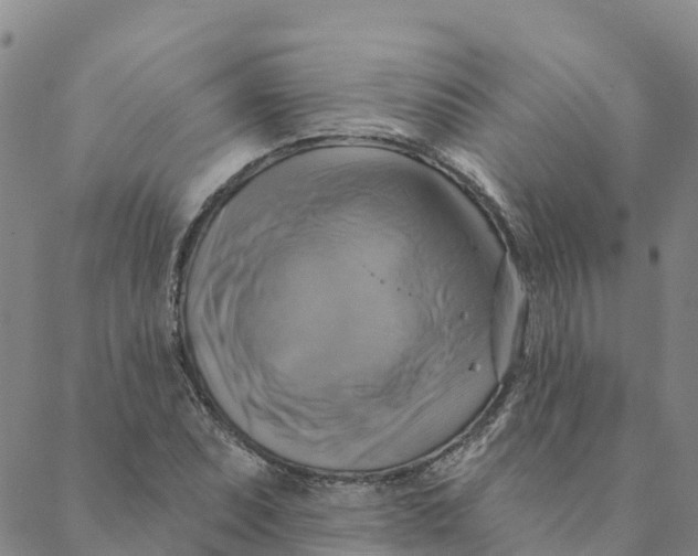 X0000088391071200706121204