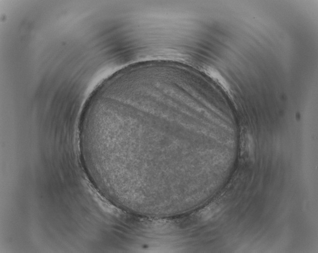 X0000088391072200706121204