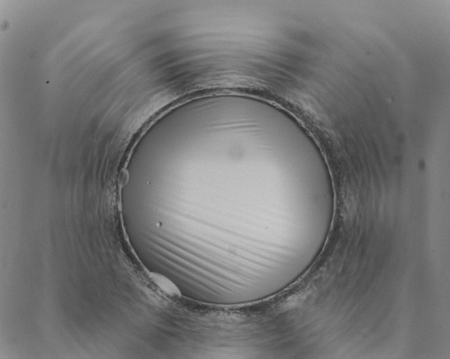 X0000088391073200706121204