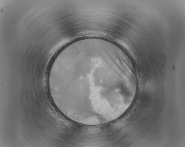 X0000088391074200706121204