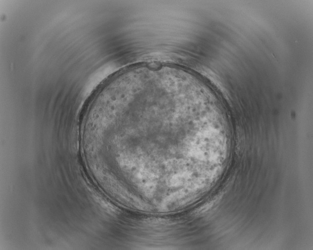 X0000088391075200706121204