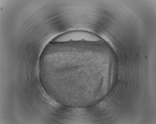 X0000088391076200706121204