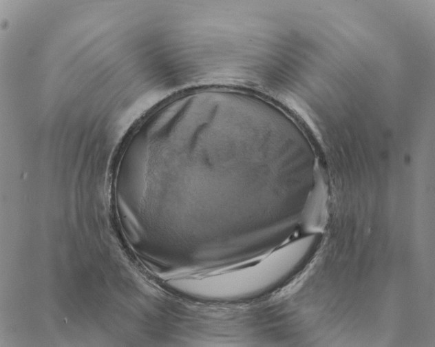 X0000088391077200706121204