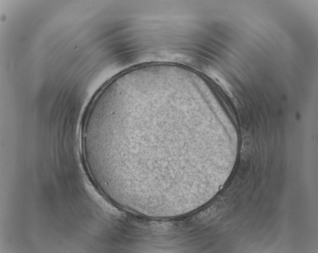 X0000088391080200706121204